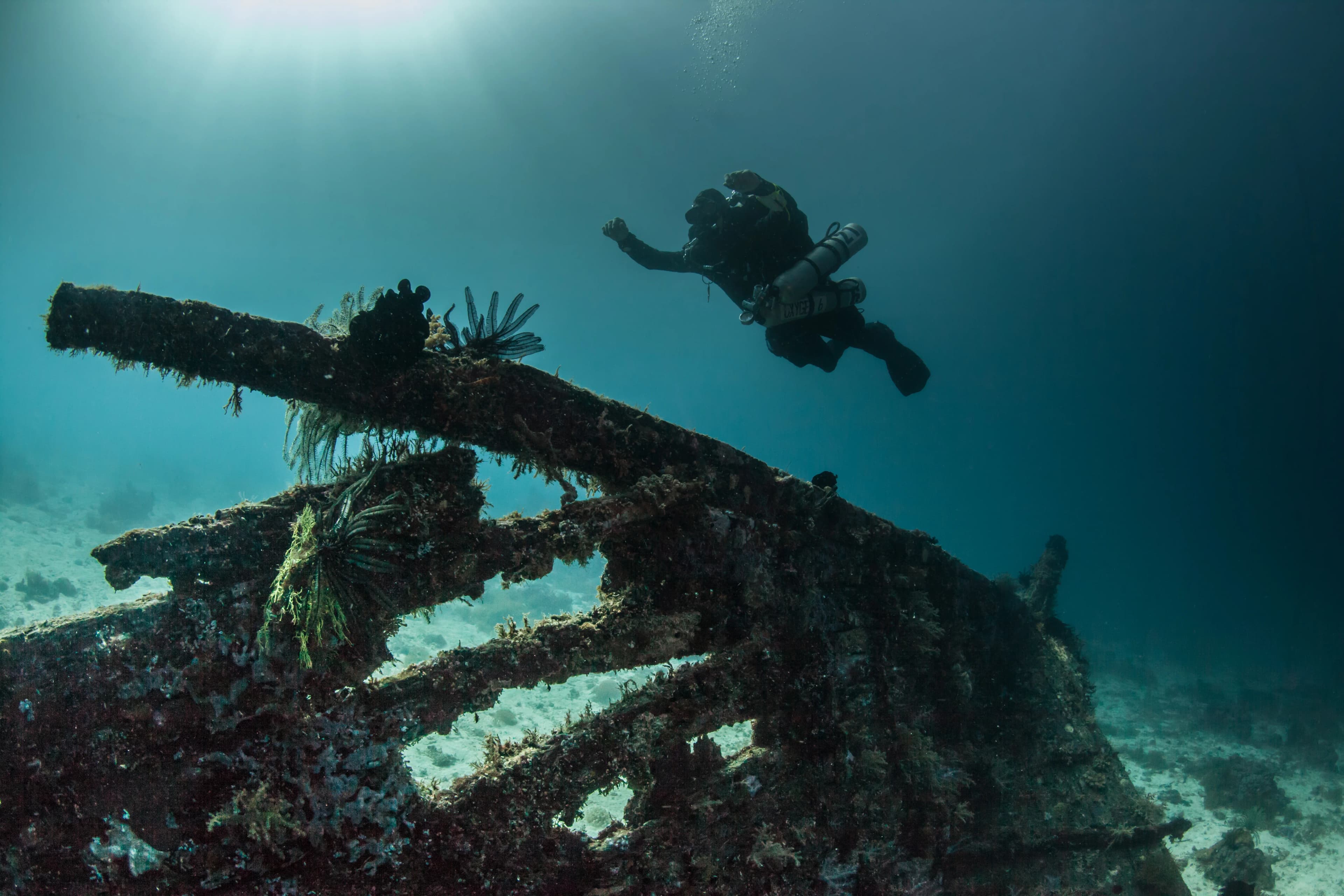 A scuba diver gliding over a coral-covered shipwreck in blue Caribbean water