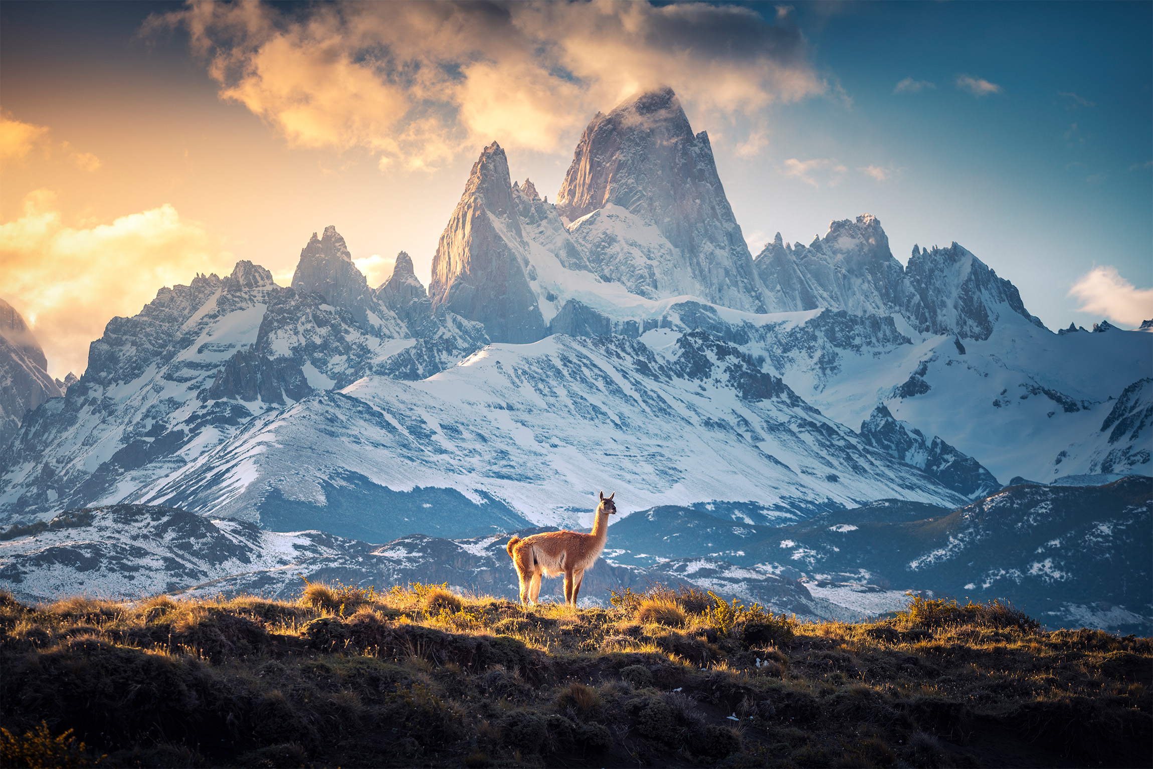 Patagonia