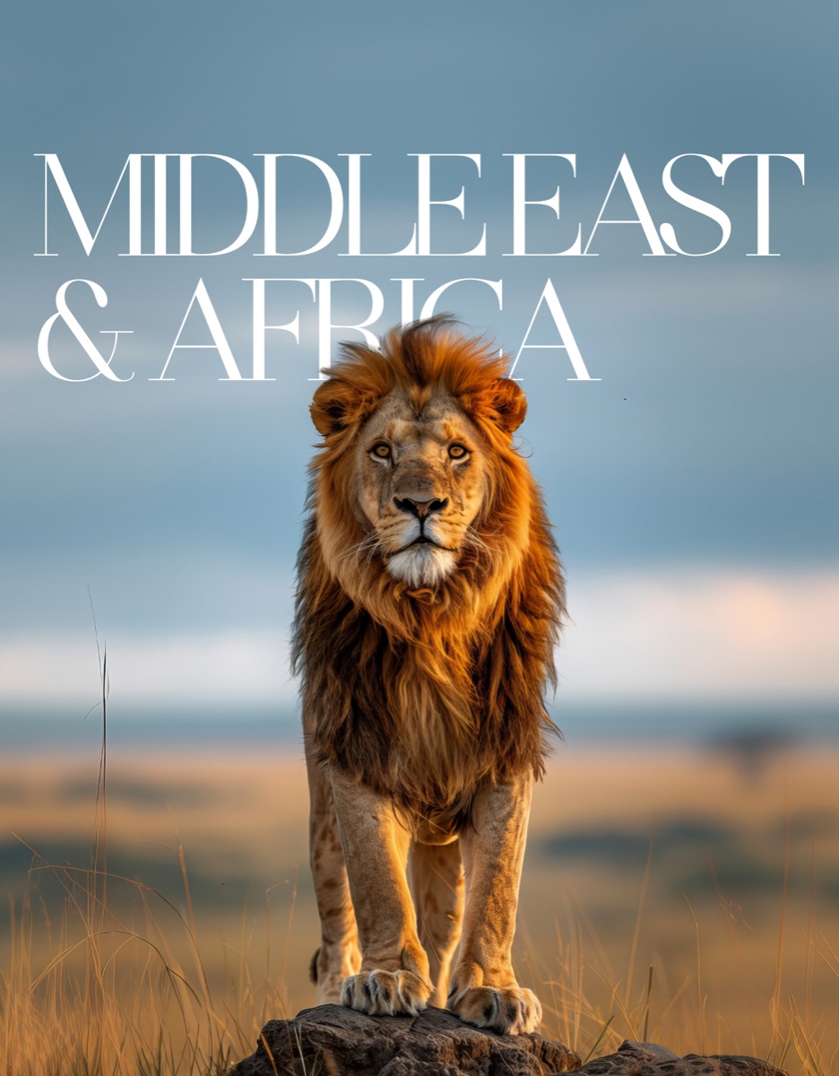 Middle East & Africa